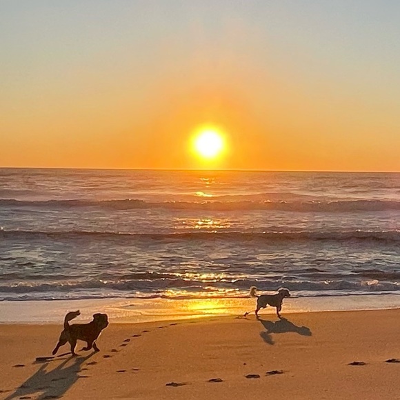 Meet your Posher, Jennifer - Picture 1 of 1